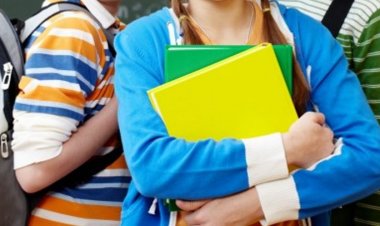 Guvernul a aprobat cuantumul minim al burselor de performanță, de merit, de studiu și de ajutor social