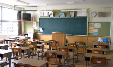 Ministrul Educației: Este foarte puțin probabil ca școlile să se deschidă pe 11 ianuarie