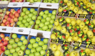 4 firme din 10 folosesc etichetele eco sau bio în mod fals sau înșelător