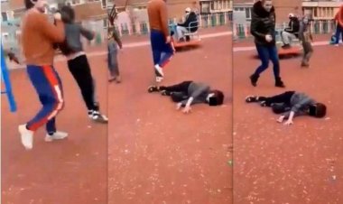 Copil trântit la pământ, fără milă de un tătic supărat, într-un părculeţ din Hunedoara