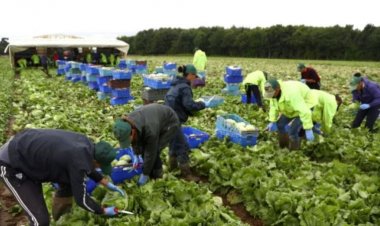 Românii care muncesc în afara țării ar putea beneficia de condiții mai bune de lucru