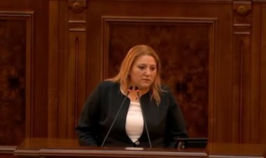 Diana Şoşoacă: Aceste cifre sunt făcute din pix de către cei care fac măşti şi teste PCR