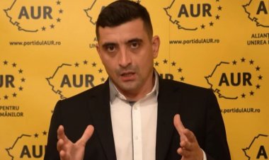 Simion: Firea a greşit faţă de electoratul PSD, care are nevoie de ocrotirea statului, nu de baze de date