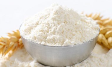 Viermii de făină au fost aprobați pentru consum în Uniunea Europeană