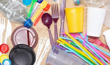 Ordonanța anti-plastic a fost adoptată de Guvern. Ce produse de unică folosință sunt interzise în România