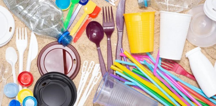 Ordonanța anti-plastic a fost adoptată de Guvern. Ce produse de unică folosință sunt interzise în România