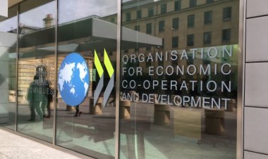 136 de țări sunt de acord să implementeze impozitul minim global de 15 la sută pe profitul multinaționalelor