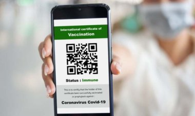 Senatul a respins Legea privind obligativitatea certificatului verde la locul de muncă