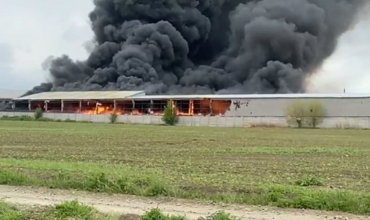 Incendiu puternic la un depozit de deșeuri din Techirghiol