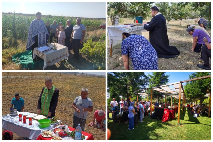 FOTO Arhiepiscopia Tomisului, campanie de rugăciuni pentru ploaie