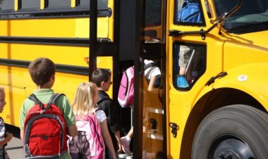 Guvernul mărește sumele alocate elevilor pentru transport