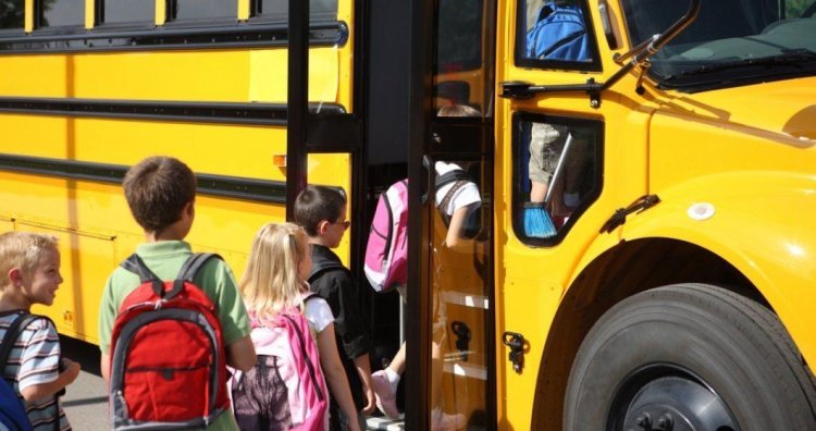 Guvernul mărește sumele alocate elevilor pentru transport