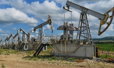 Zelenski: Nu este o decizie serioasă să se stabilească o astfel de limită pentru preţul rusesc