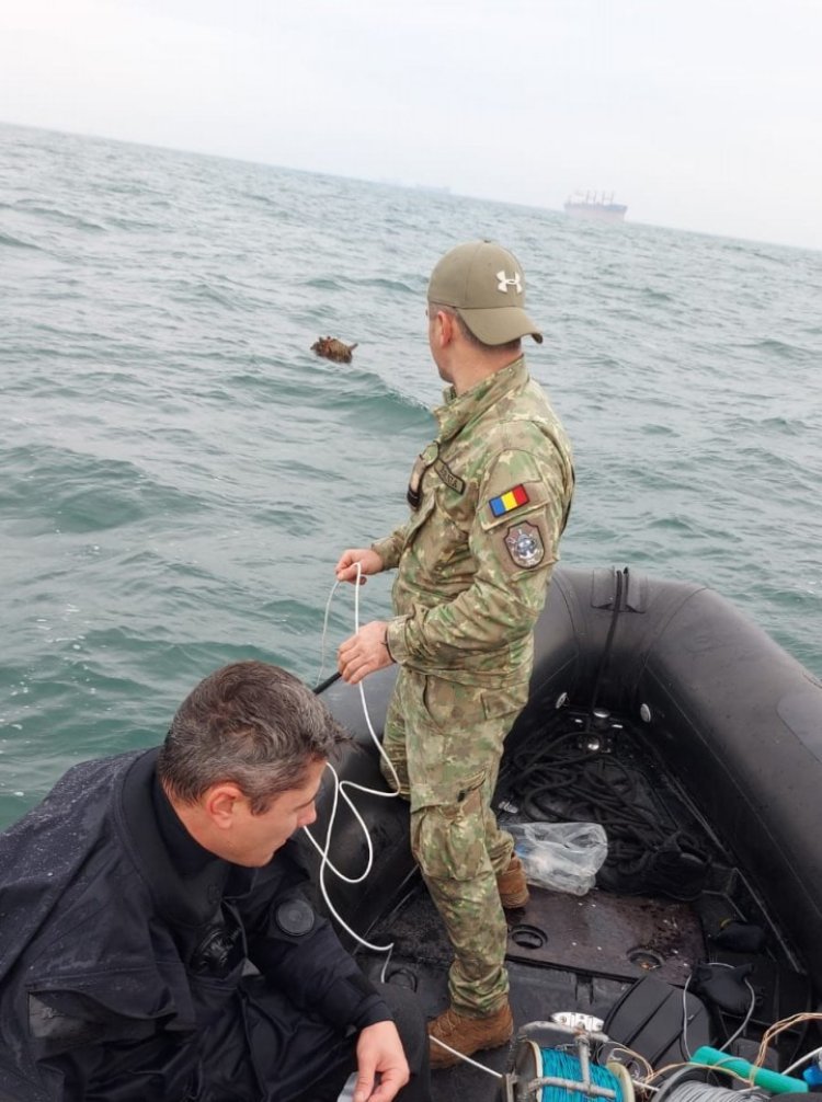 Forțele Navale Române au distrus o mină marină în apropiere de Portul Constanța