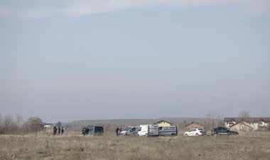 O femeie a fost sfâșiată de o haită de câini