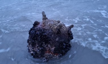 Pescuitul și turismul din România sunt în pericol, din cauza minelor din Marea Neagră