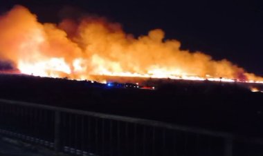 Incendiu de vegetație uscată la Poarta Albă