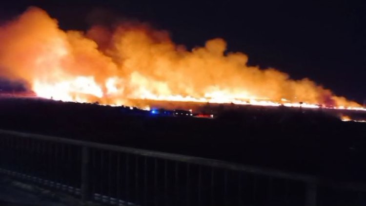 Incendiu de vegetație uscată la Poarta Albă