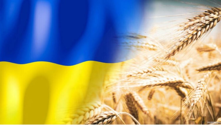 Kievul anunță că va da în judecată trei țări vecine din cauza restricţiilor impuse la importurile de cereale ucrainene