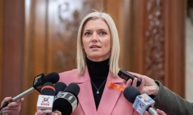 Alina Gorghiu: Minorii au devenit ţinta principală a dealerilor de droguri