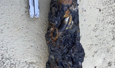 Proiectil neutralizat de scafandrii EOD în zona Eforie Nord