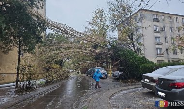 Vremea rea a făcut ravagii la Constanța. S-a emis cod roșu de viscol