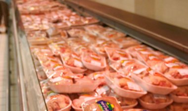Pulpe de pui, retrase de pe piaţă după ce au fost depistate cu Salmonella
