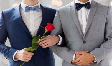 Premierul Mitsotakis vrea să legalizeze căsătoriile homosexuale