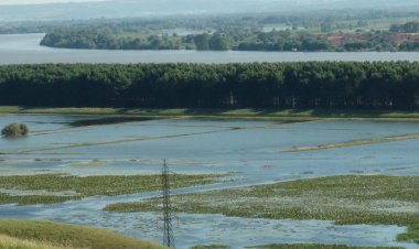 Ciucă: Fac apel la autorităţi să se pregătească pentru viitura care vine pe Dunăre