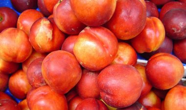 Nectarine cu nivel ridicat de pesticide, retrase de la vânzare de comisarii ANPC