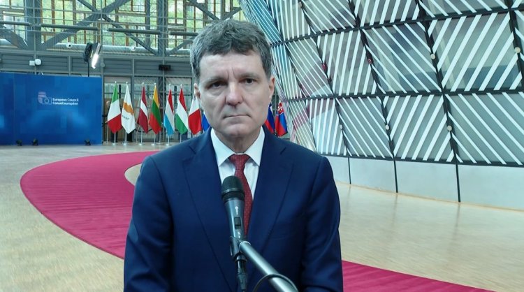 Nicușor Dan: Există o probabilitate foarte mare ca marți să avem un guvern