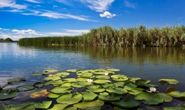 Ziua internațională a Dunării, marcată pe 29 iunie