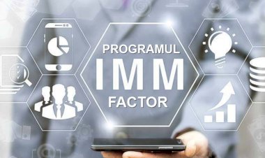 Guvernul a aprobat Programul IMM Factor