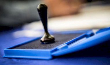 Guvern: 6 decembrie, data alegerilor parlamentare