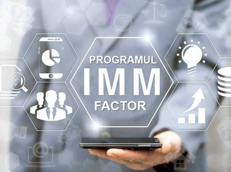 Guvernul a aprobat Programul IMM Factor
